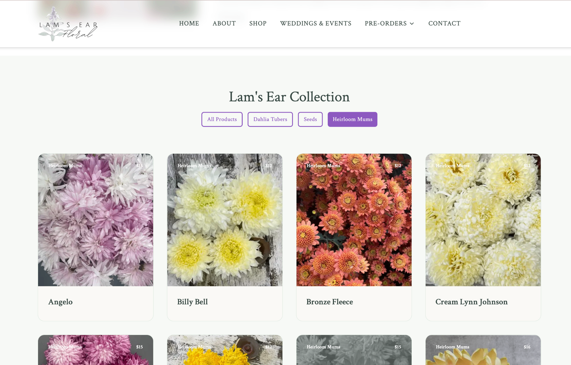 Lam's Ear Floral shop page showing the Heirloom Mums collection with product cards